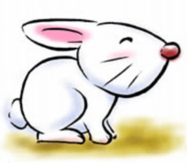 生肖兔